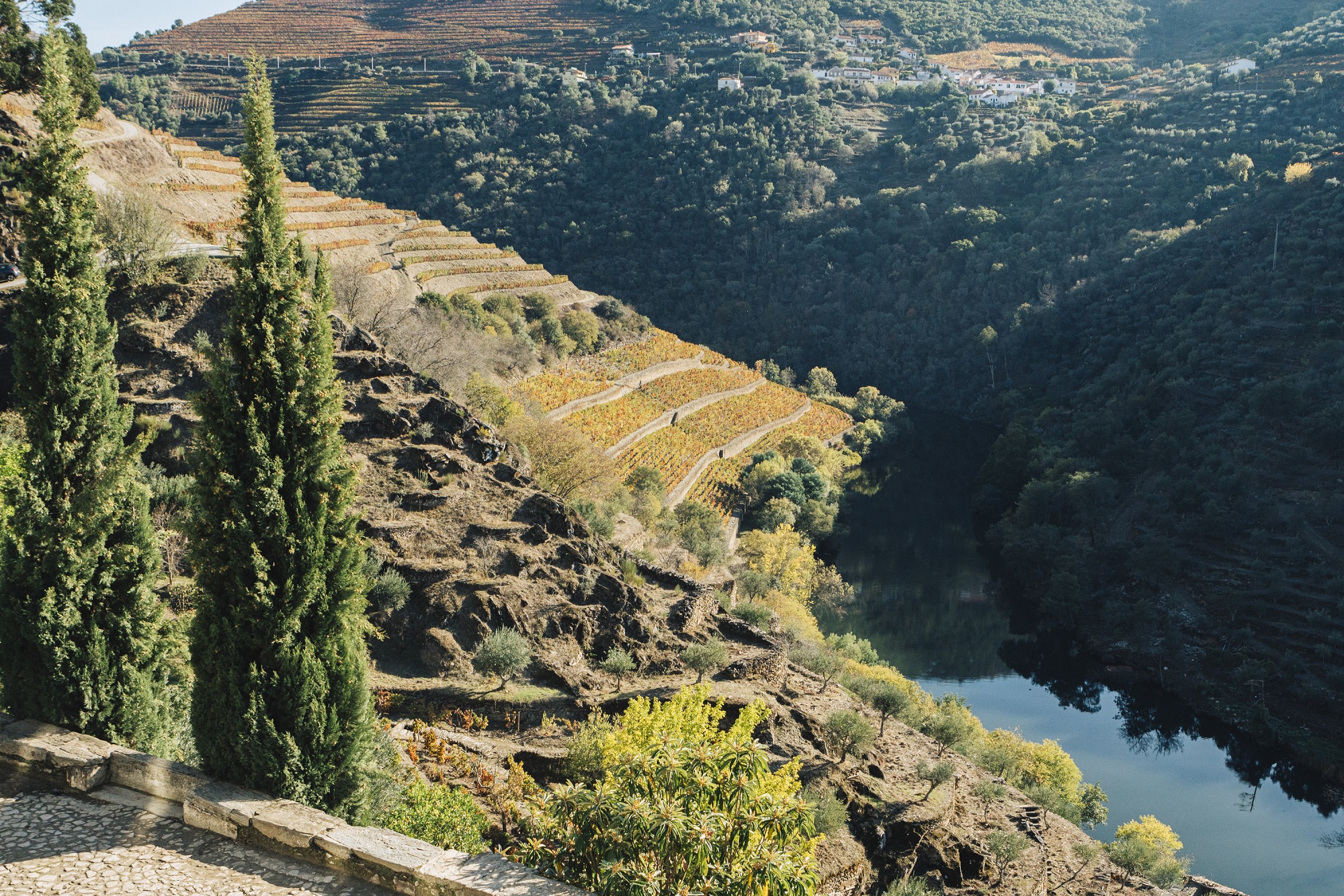 Fonseca Porto