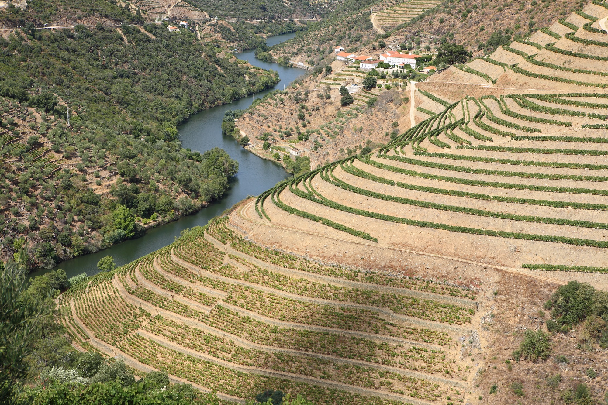 Fonseca Porto