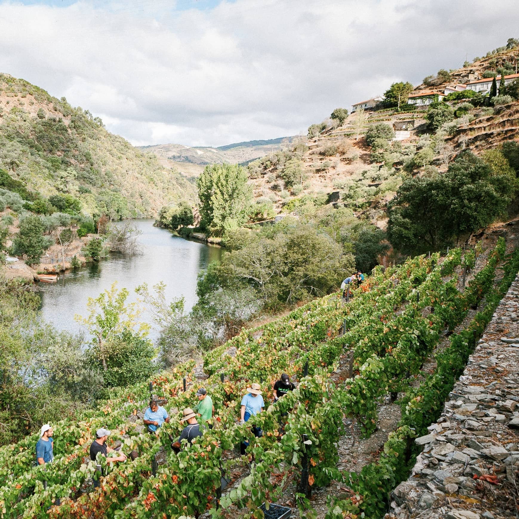 Fonseca Porto