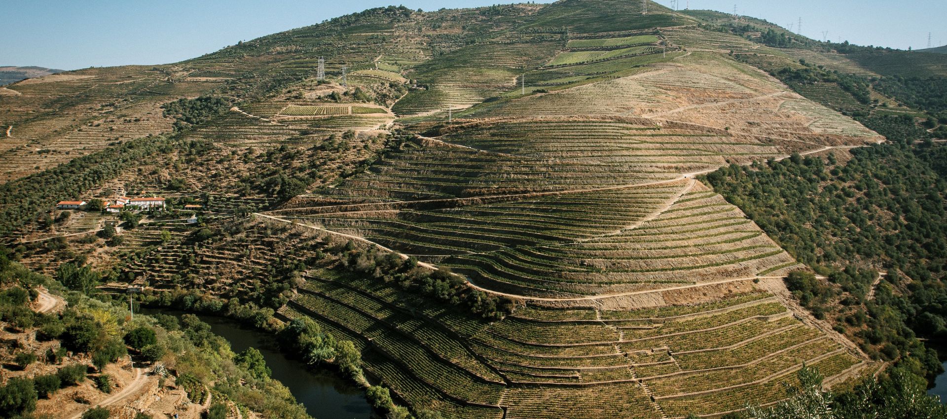 Fonseca Porto